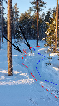 snöskoter 2024